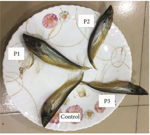 Potentially Effective Natural Food Preservative